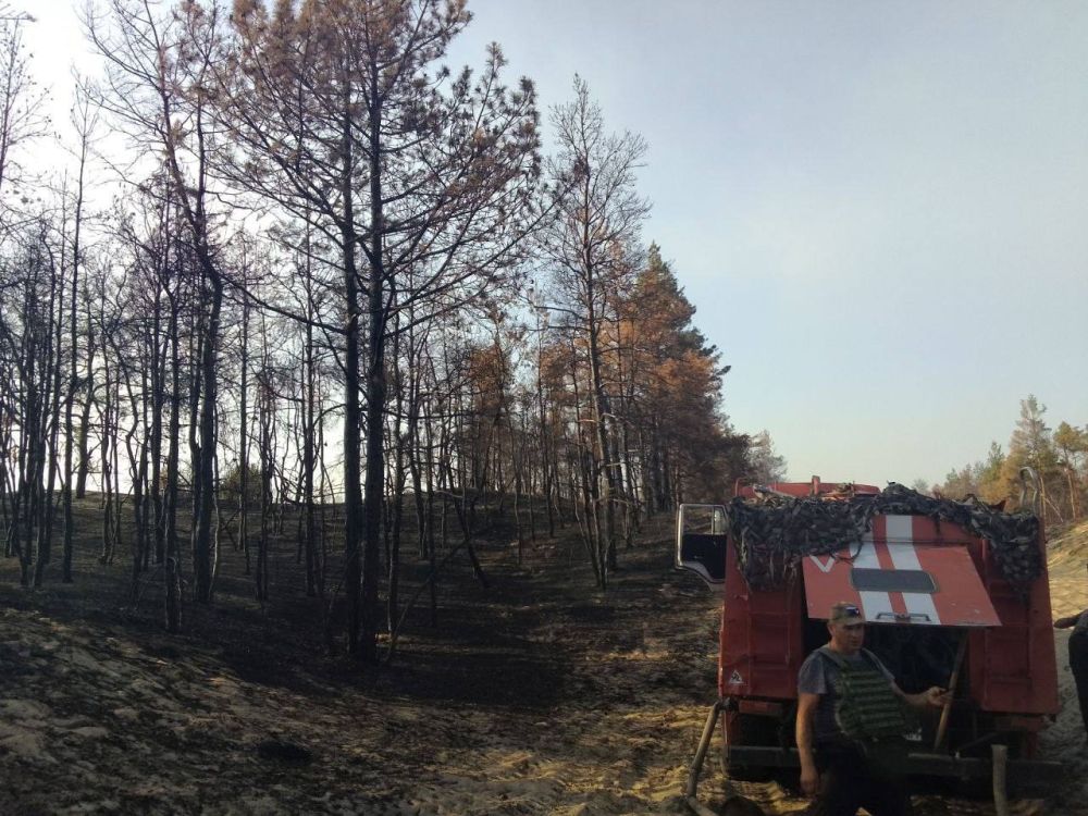 ���������� ���������������� ������� ���������� ����������� ����������� �������� ��� ����������� �������������� ������ ����������