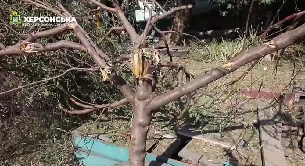 � �� ��� ������.... ������������ ����������: �������� ����� �������� �� ��������� � ������������