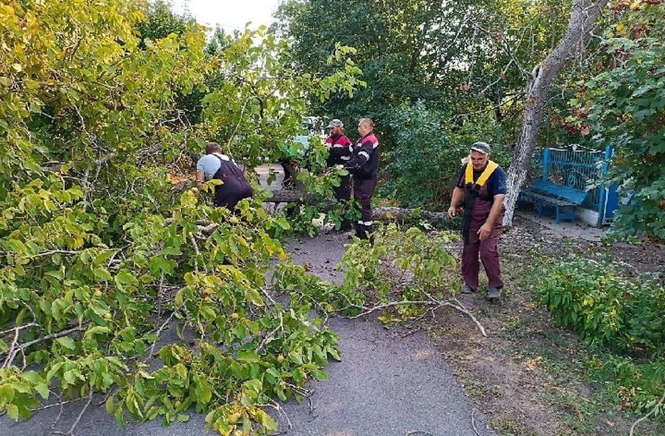 � ����������� � ����������� ������� ��������� �������