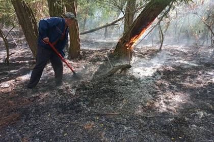 �� ������ ���������� ���������������� ������� �������� ������ ������