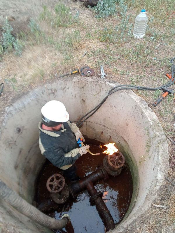 ��������� ����������� ������������ ������������� � ���� ��������