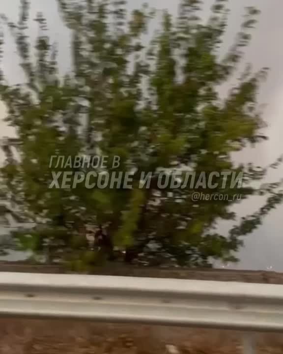 � �������� ������������� �������� ������� ������� ������