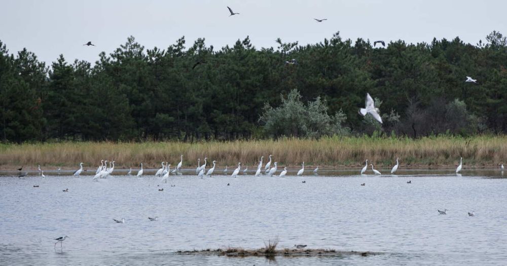 ���������� �������� ����� ����������� ��� ��� �� ����������� ����