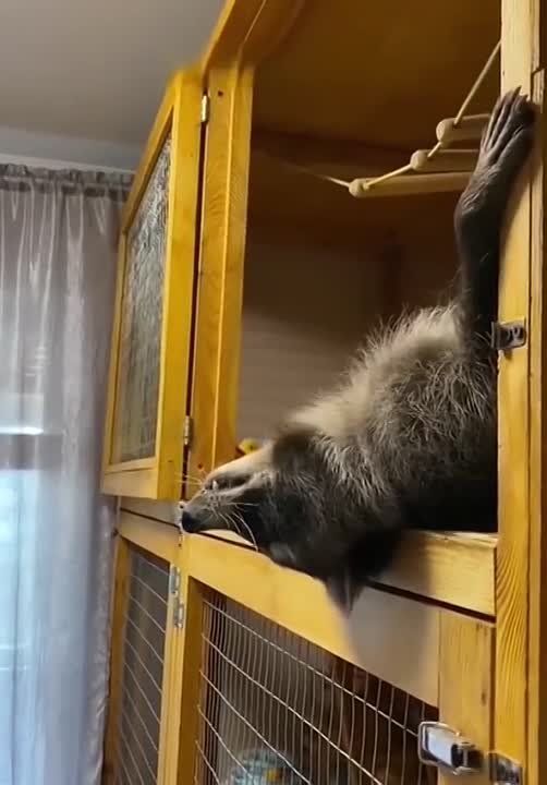 ������� ��������� �� ������� �������� � ����� � �����