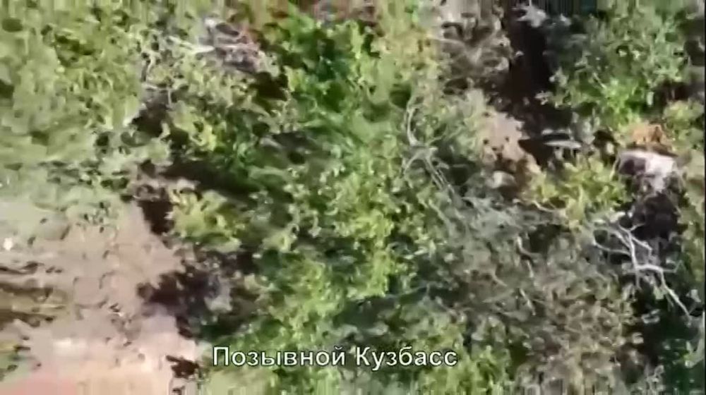 ����� �����. ������ �������������� ������������ �� ������� ��� ��������-����� ���������� �������