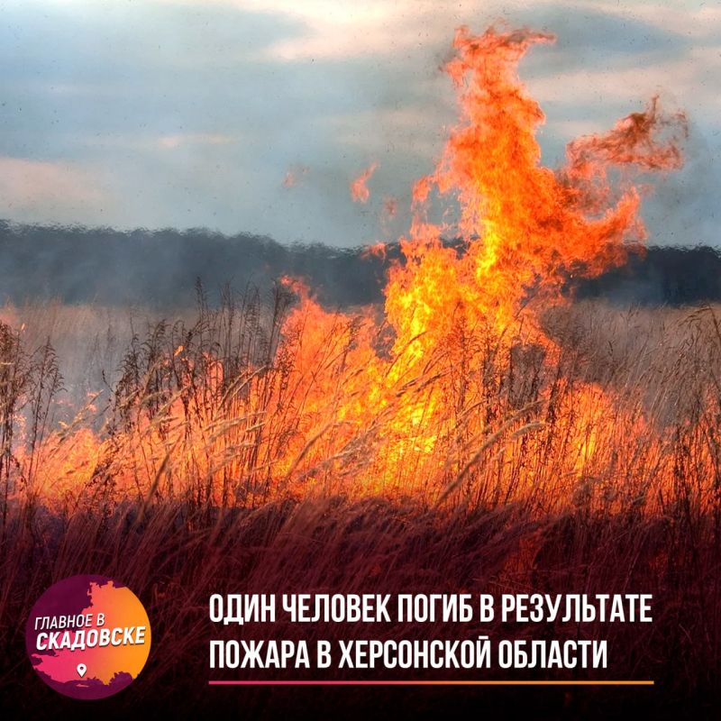 ���� ������� ����� � ���������� ������ � ���������� ������� � ��� �������