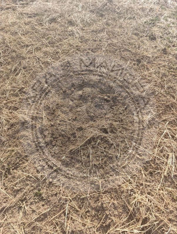 ��� ������: ���������������� ������� ���������� ������� � �����