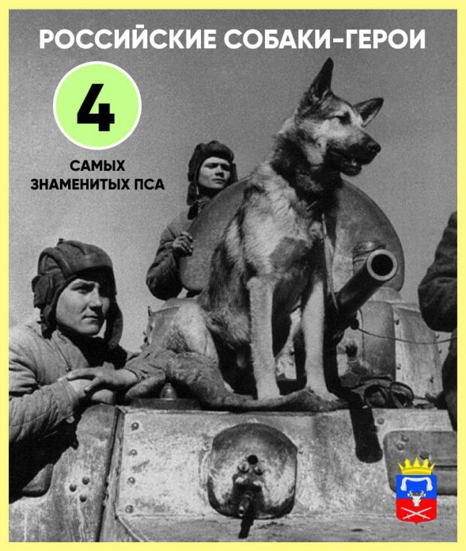 �������, � ���� �����, �� ���������� ������� � ����������� ����� ������������ ������, ������� �� ������ ������ ����������, �� � ��������� �����