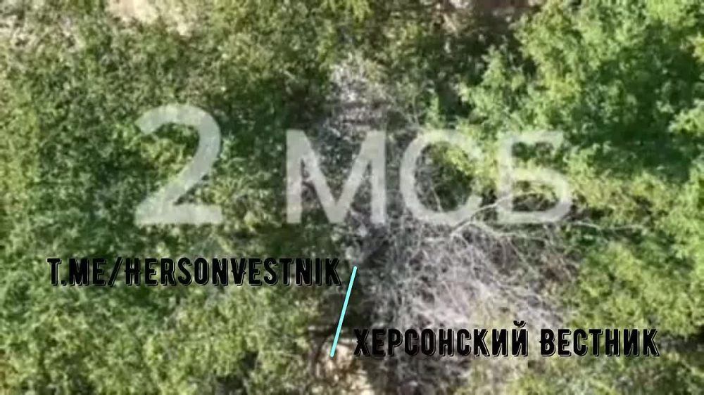 ����� �� 49 ����� �� ����������� � ����������� ���������