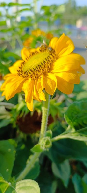 ��� �������� ������!. ��� �� ���� ����� ��������, ��� ������ �� ����� ������� � ����� ����