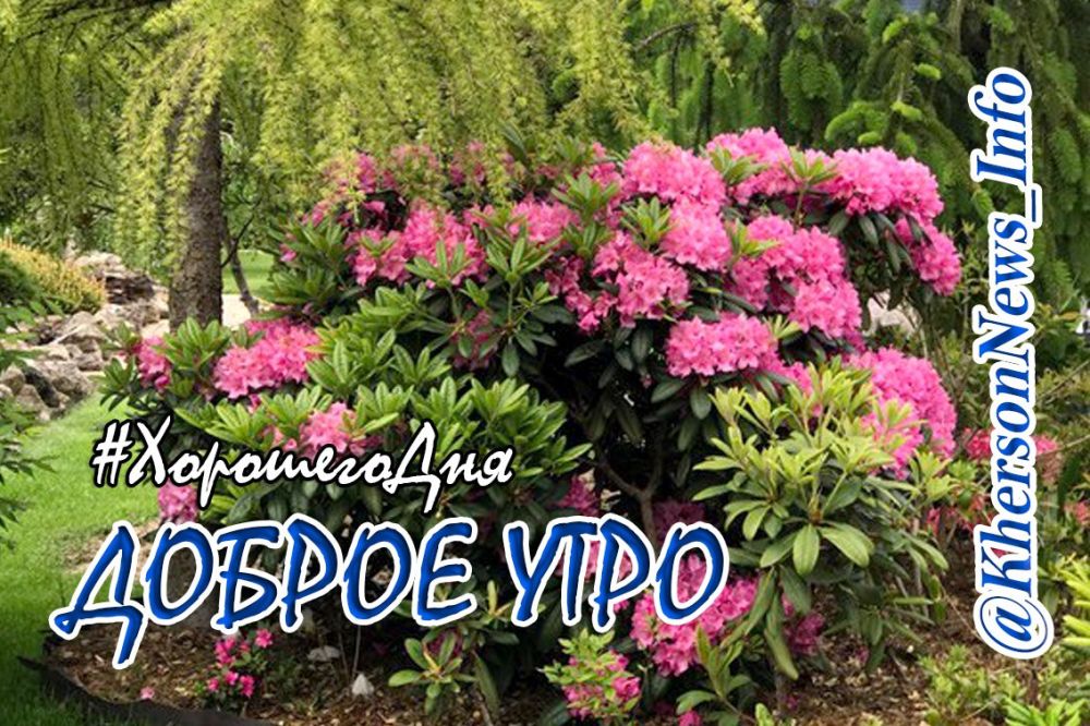 ������ ����, ������!. ���� �������� ���. ���� �������� ������. �������� ���� ����� ����� ��������� ��� ������, �� ������������ ��� ����� ������