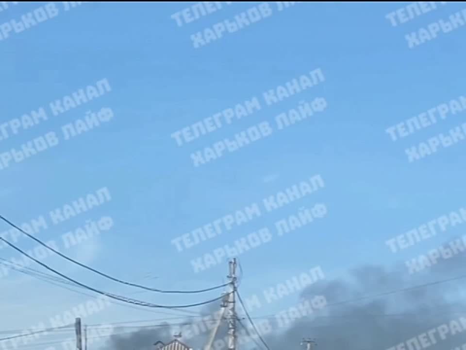 ���������, ����������� �������: ������, � ���� �������� ����� ����