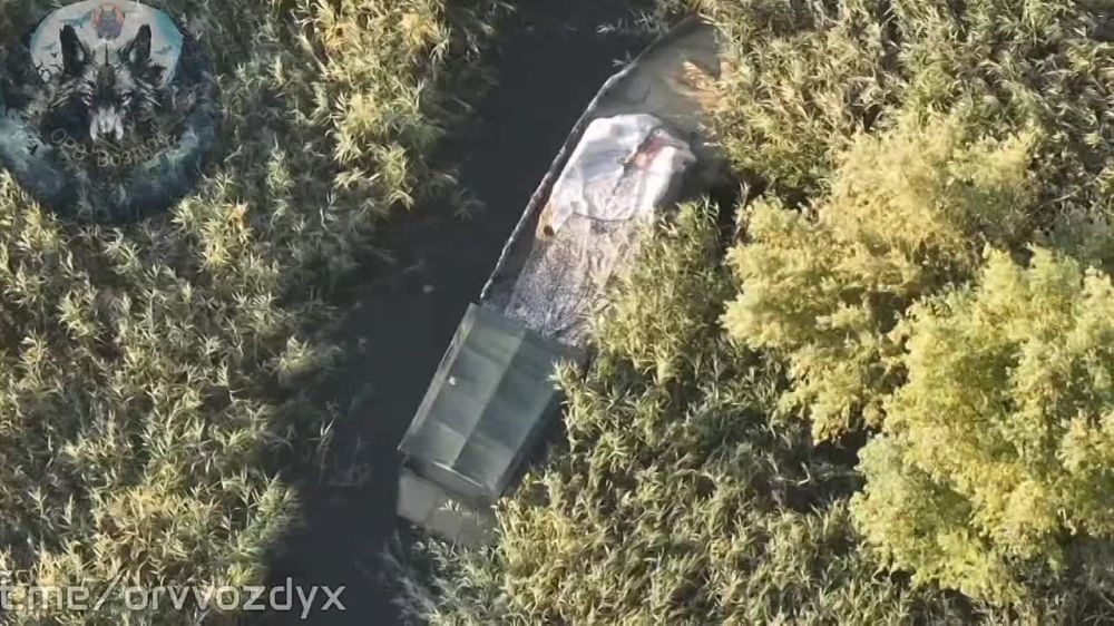 ��������� �������: �������� FPV-����� ������� ���������� ����� �� ���������� �����������