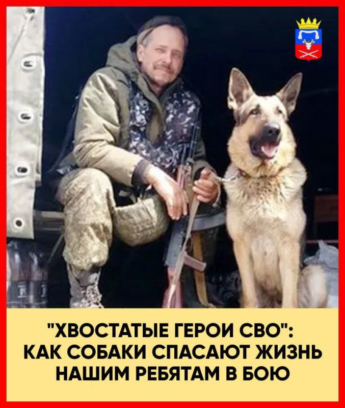 �������, 26 �������, ���������� ���� �����