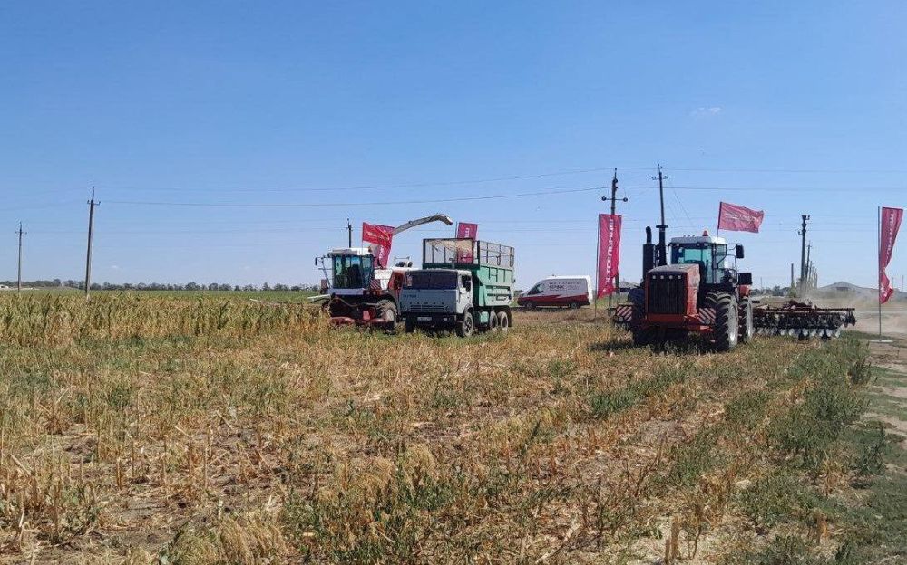 � ������� ��������� ������������ ������ ���������������� ����� ������ � ������ �������