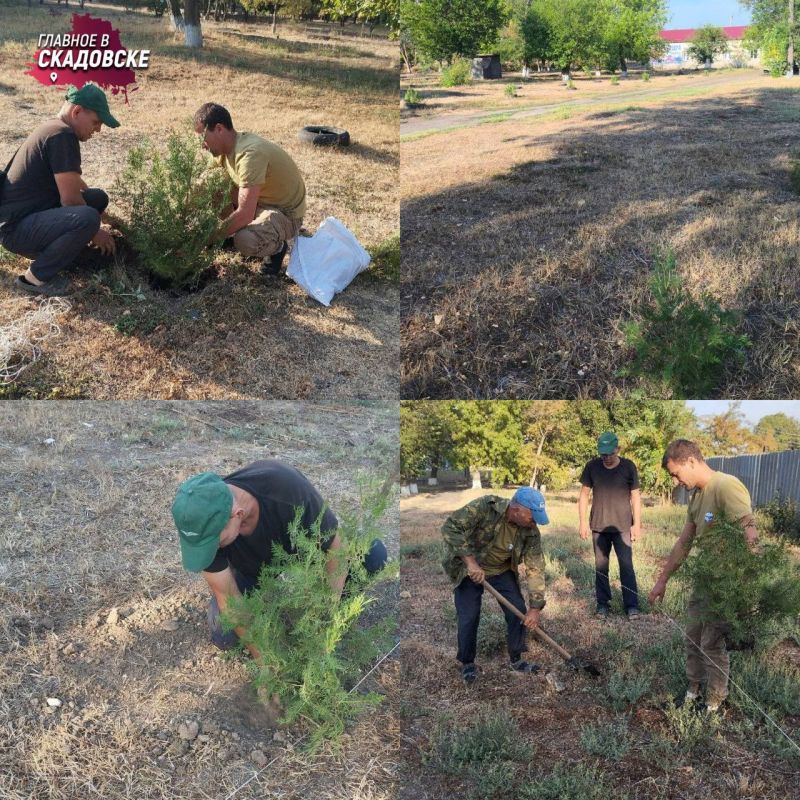 ���������� ���������� �������: � ���� �������������� �������� ������� ��������