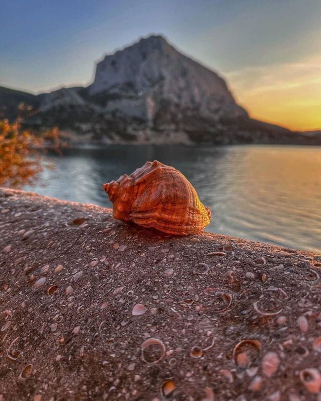 ����� ���� � ��� ������ �� ���-������� ����a