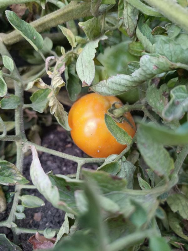 � ������ �����, �����������!