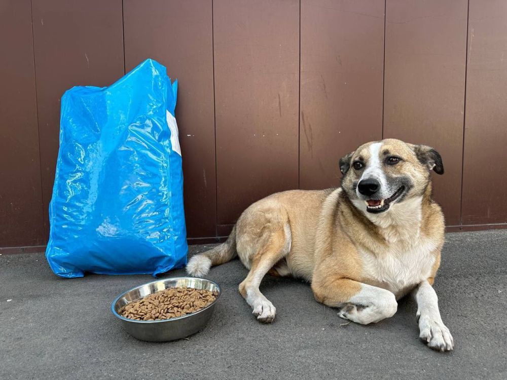 ������ �������� ������ ������� �������� �������� ���������� 6,5 ���� ����� ��� ��������