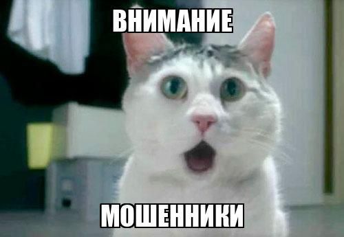 ���������� ���� ���������� �������� 600 ���