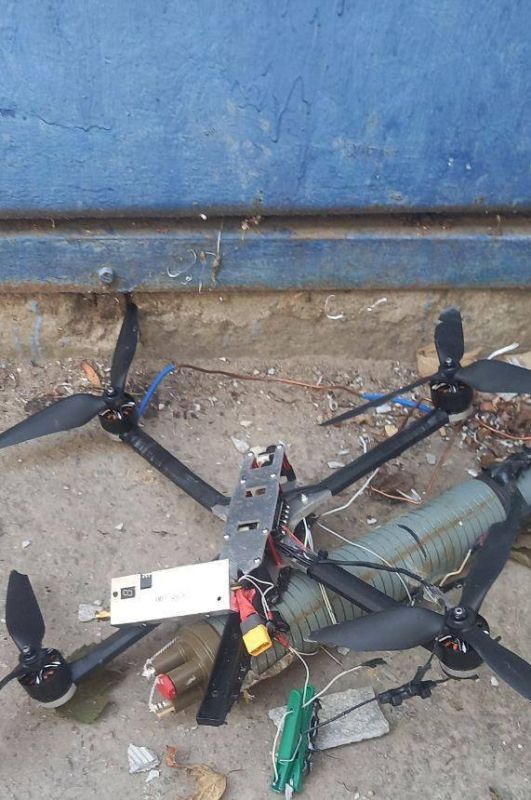 �� ����� ���������� ������� ��������� �� ����������� �������������� ����������� ���������� ������� ����� 50 �������� �� ��������� ����������, ������������ ������������