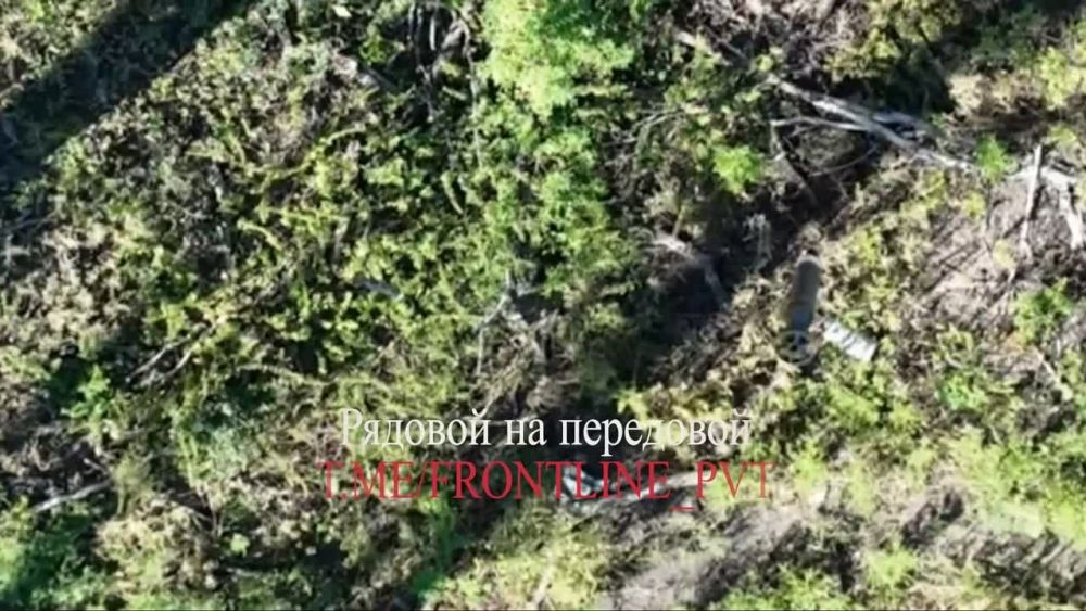 ��������� �����������. ���������� ���������� �����