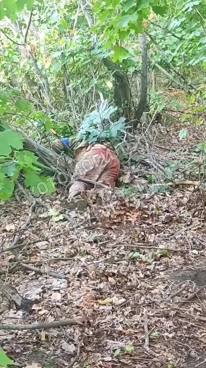 ����� �� �� �� � ������� ������� ������������� ��� ������ ������� ��� � ����� �� ���������