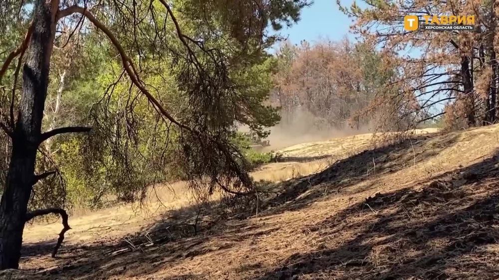 ������ 203-�� ������ 2�7 "����" ����������� ����� "�����" ��������� ����������� ������� ���������� �� ������ ������ ������