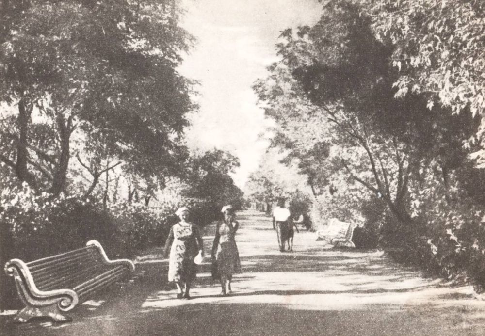 ����� ����������: ������ ����, ������! ������ � ���� ���������� ����������� ������� � ���������: