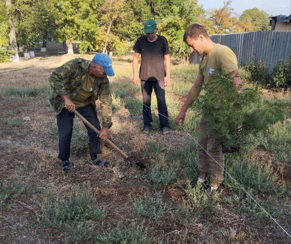 ���������������. � �������������� ��������������� �������������� ������ ���������� ������� ��������