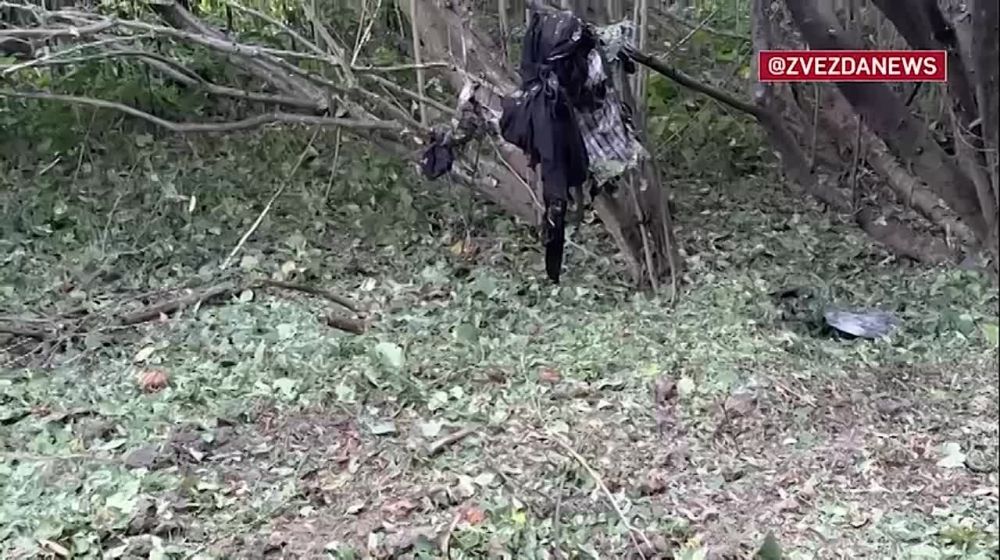 ��� ������ ������������ ����� ���������� ������� ���������, ������������� � ���������� � ����� ��������