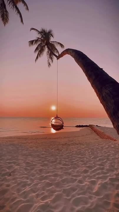 �������� ����������