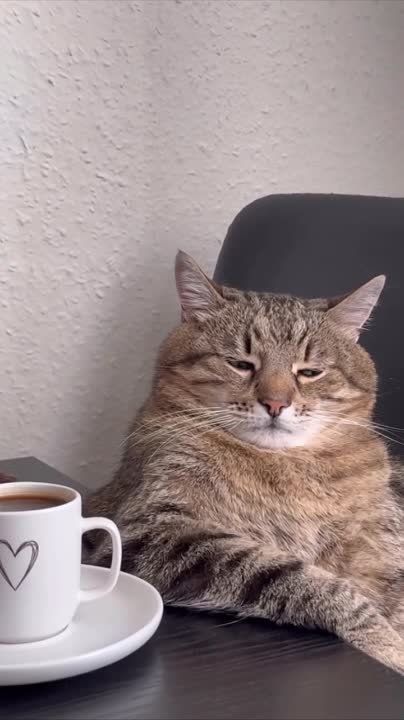 � ������ �����, �����������!