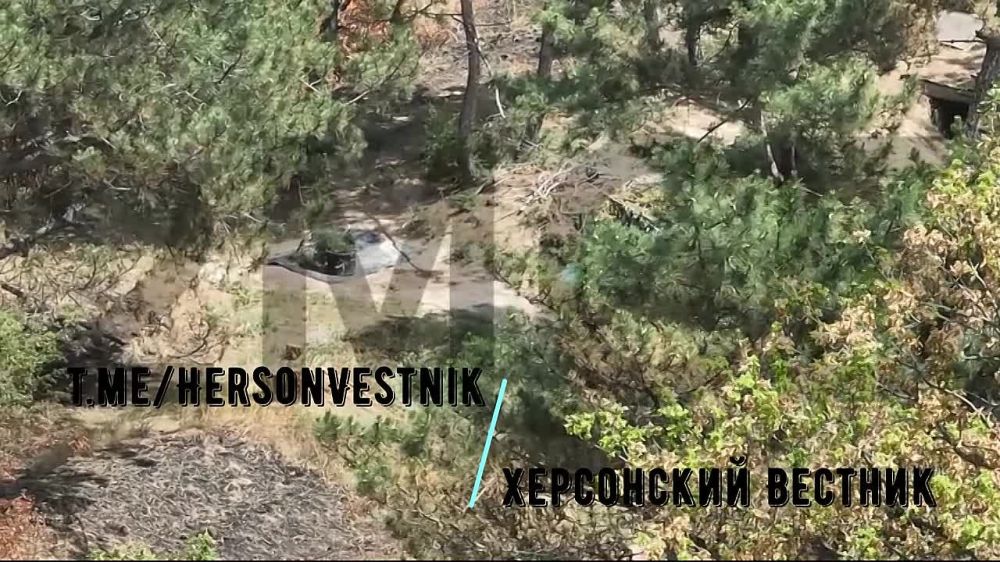 ���������� ������� ������� ���� ������� �� ������ ������ ������