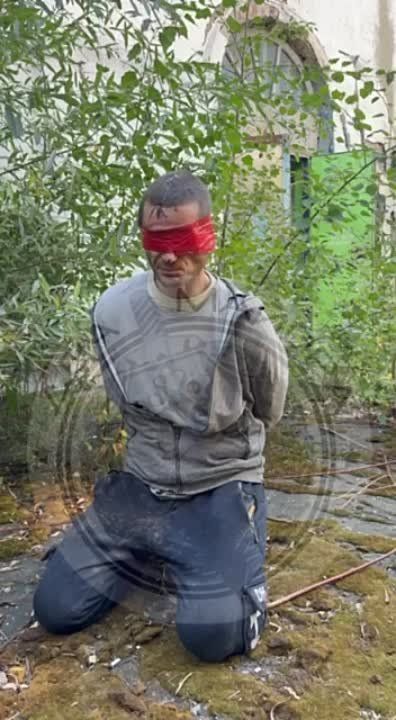 ��� ������: ������� �������, ������� ����