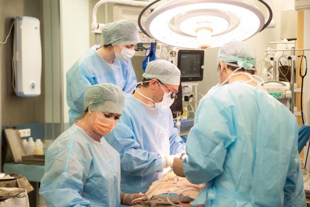 ����������� ���� ����������� ��. ��. �.�. ������ ��������� ������ ��������� ������ ��������� �� ����� ��������