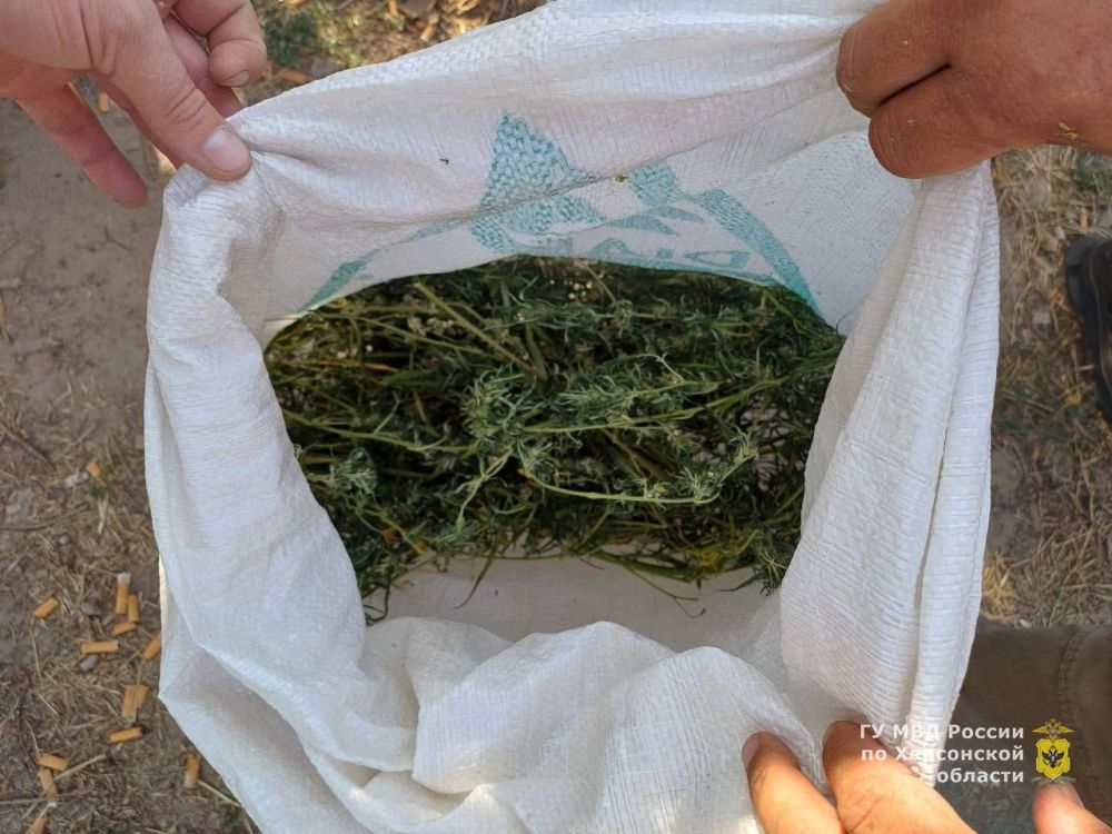 ������ ��������������� ������ ������������� � ���������� �������� ������������� ���������