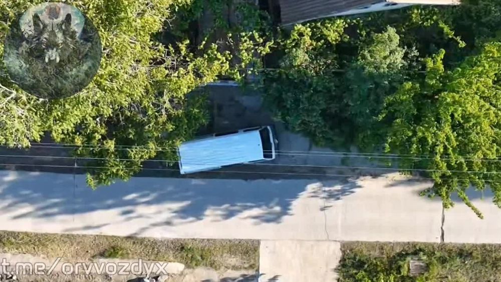 ���������� �����������