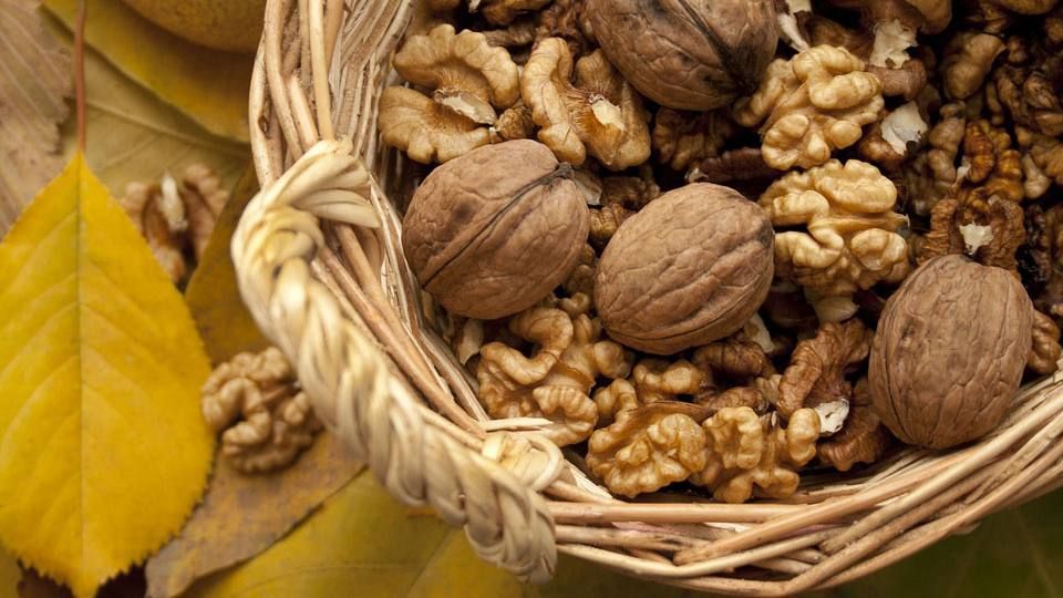 ������� - ������ ����. �������� ���� �������� �������� 29 �������