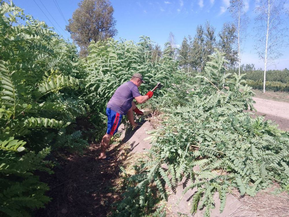 � ���������� ������� ������� ��������� ������������ �������