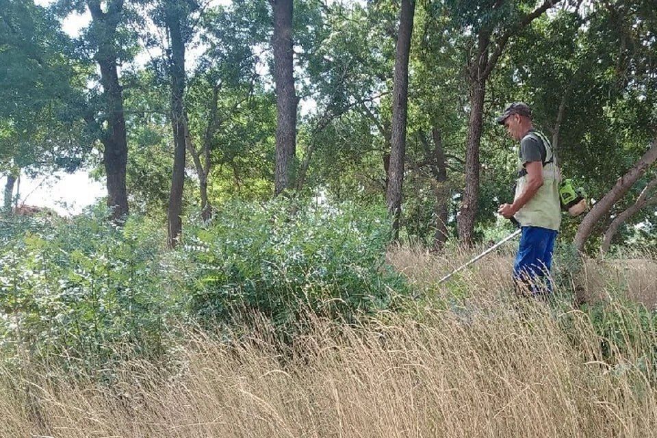 � ���������� �������������� ��������� ���������� ���