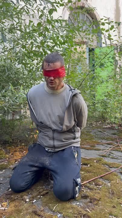 ����� �����: ������� �������, ������� ����