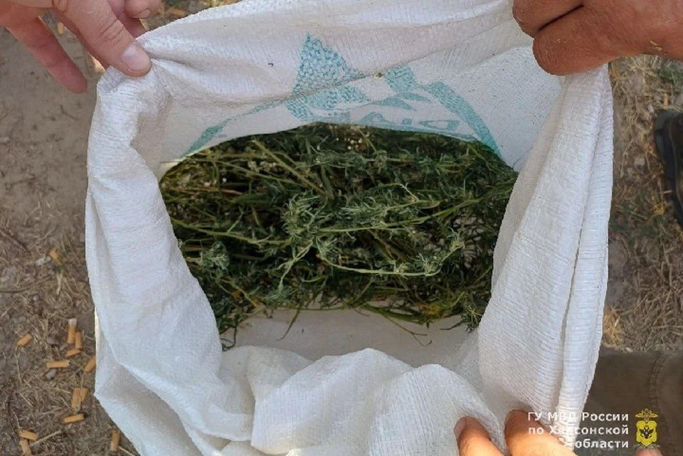 � �������������� ������ � ���� � ������� ����� ����������