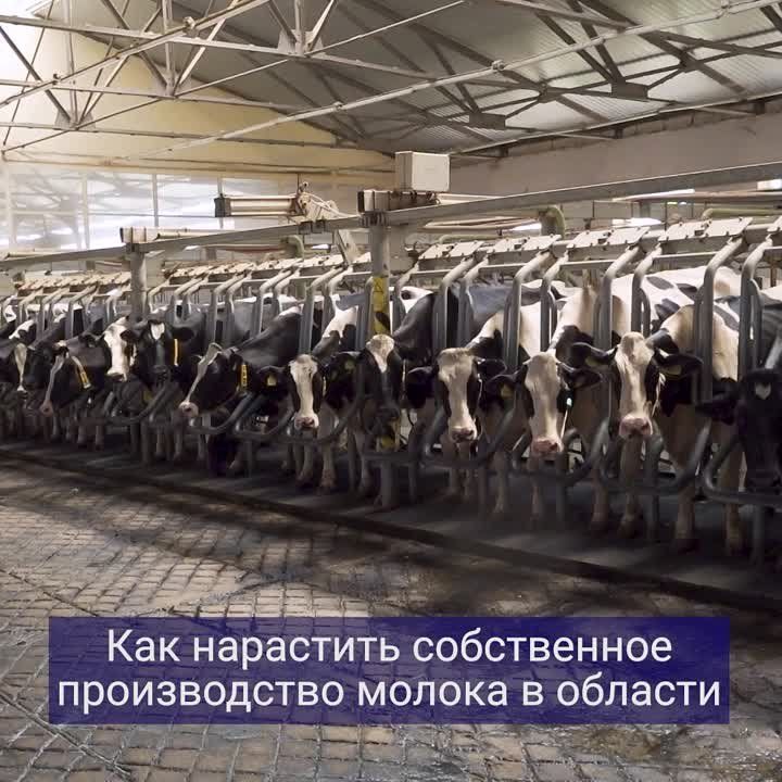 ������ ����������: ����� ������ �� ��� ��� ������ ����� ������, ������, ������� � ��������� ��������, ������ ������ ���� ��� �������� � �� ��������� ���� - � ������� ����� ����� �������