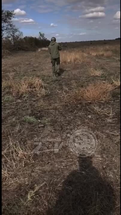 ��� ������: ���������� �����������. ��������� � ���������� ������� ������� ������ �� �����������, ������� �����