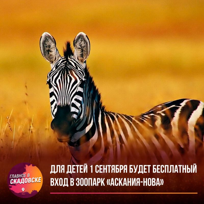 ��� ����� 1 �������� ����� ���������� ���� � ������� ��������-����