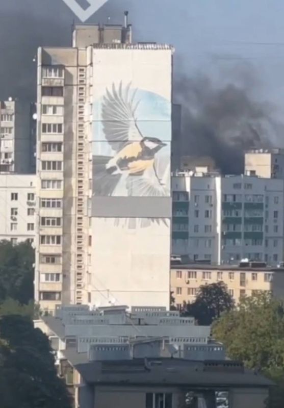 �, �� ���� ��������� ������