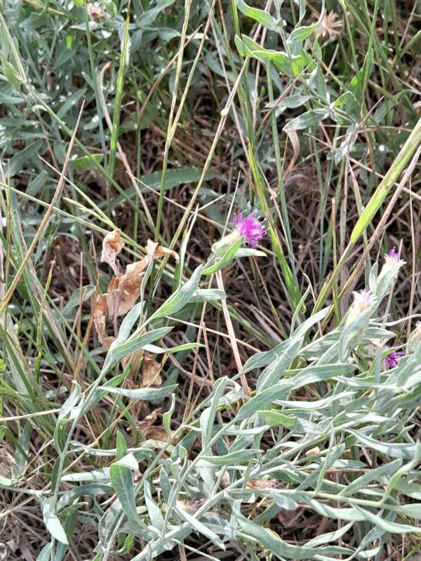 �� ���������� ����������� ����������� ���� �� ������� ��������� �� ���������� ����� 27 000 ��������