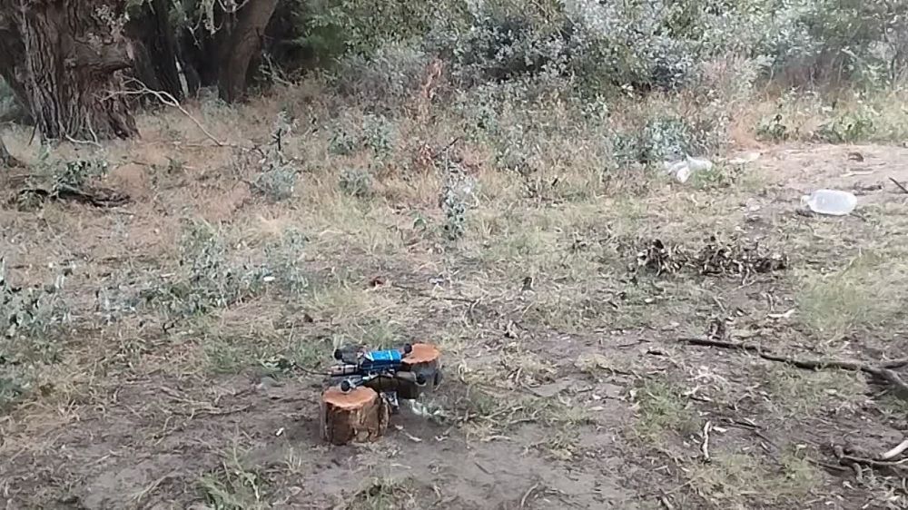 ��� ������: ���������� �����������. ��� ��������� ��� ������ ��������� ���������� ��������