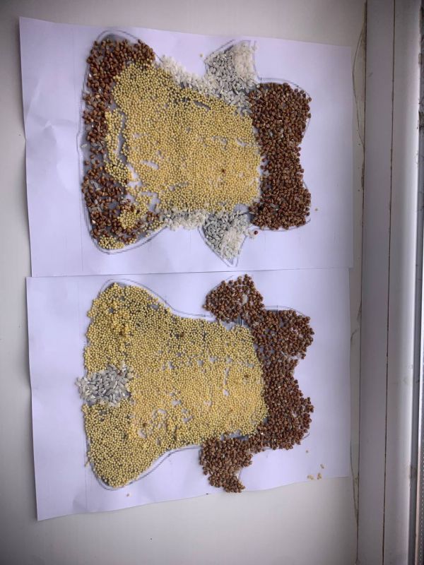 ������ ���� ������ � �������� ������������� �������� � �����